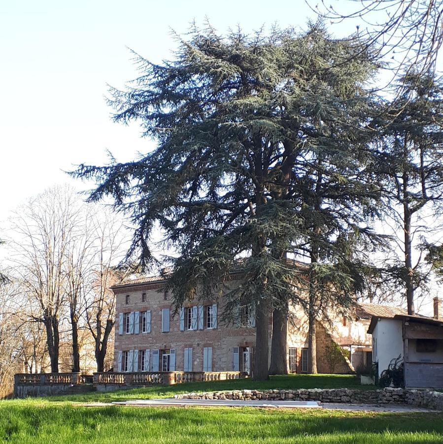 Le Jardin Des Cedres Hotel Lavaur  Exterior photo