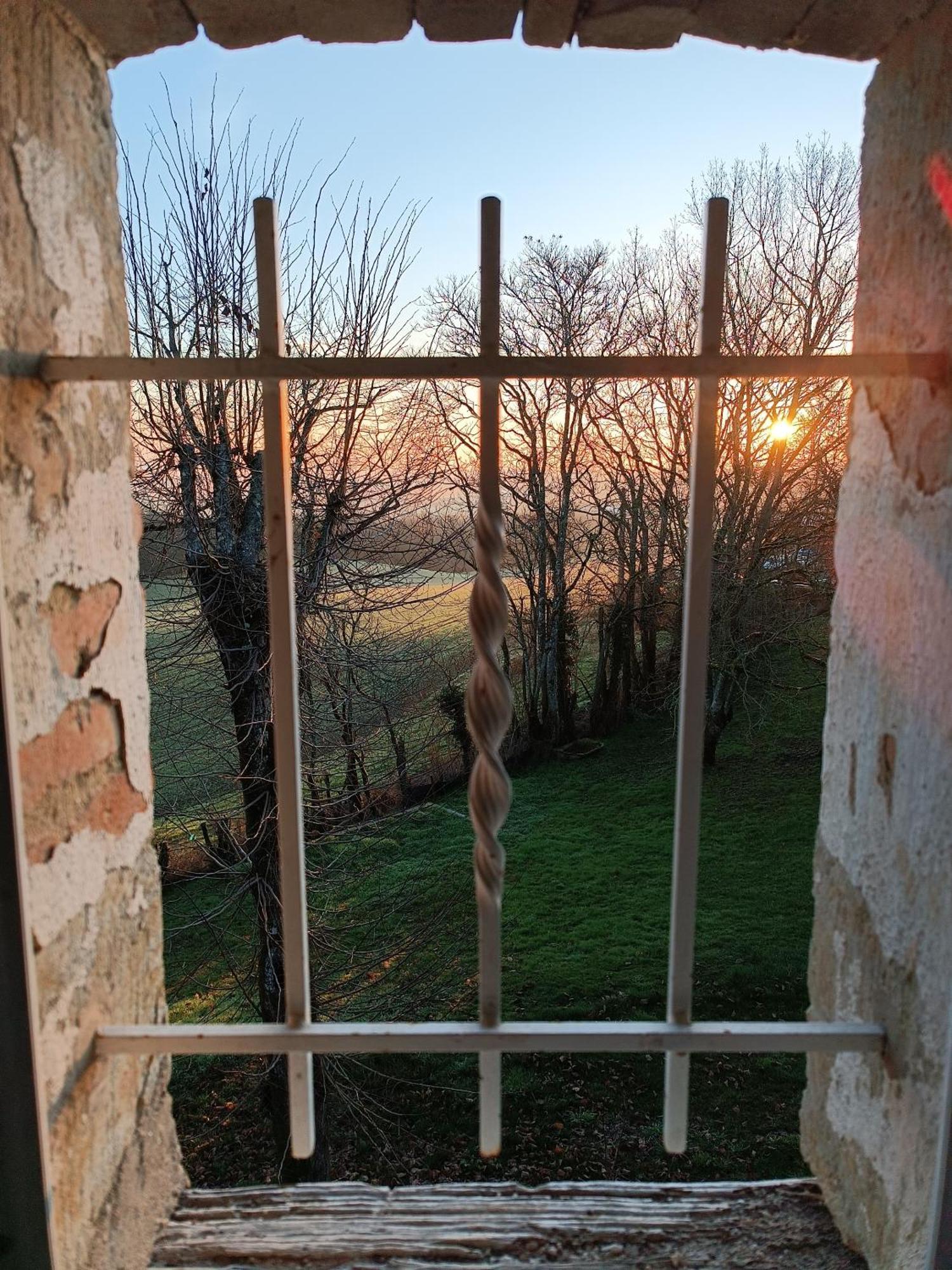 Le Jardin Des Cedres Hotel Lavaur  Room photo